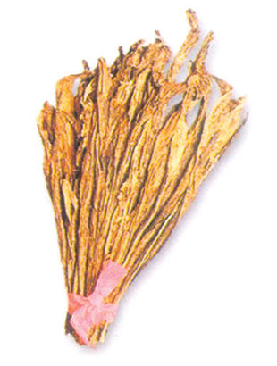 Cigar Filler Tobacco